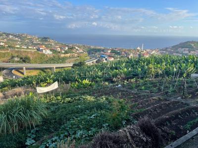 Câmara De Lobos, Madeira 9300-006, Portogallo