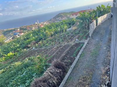 Câmara De Lobos, Madeira 9300-006, Portogallo