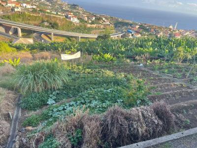 Câmara De Lobos, Madeira 9300-006, Portogallo