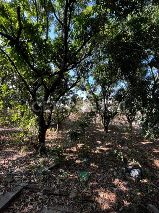 Land For Sale, Carretera antigua al embarcadero de Chiapa de Corzo S/N