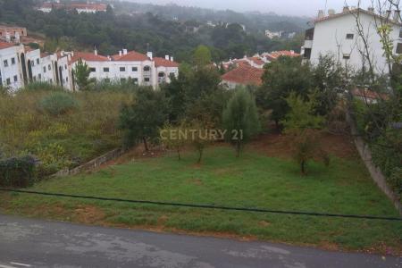 Coimbra, Coimbra 3040-020, Portugal