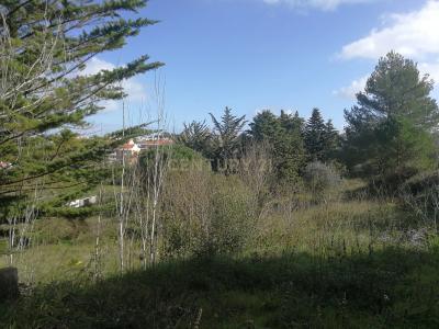 Sintra, Lizbon 2710-376, Portekiz