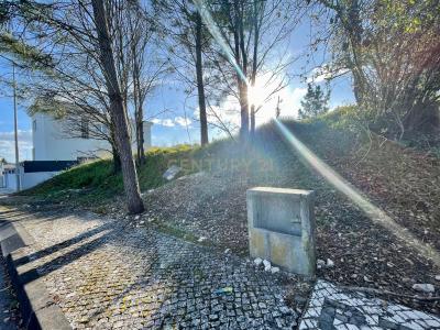 Condeixa A Nova, Coimbra 3150-287, Portugal