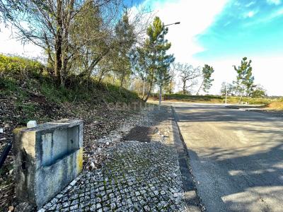 Condeixa A Nova, 코임브라 3150-287, 포르투갈