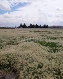 Tecámac, 멕시코 주 55757, 멕시코