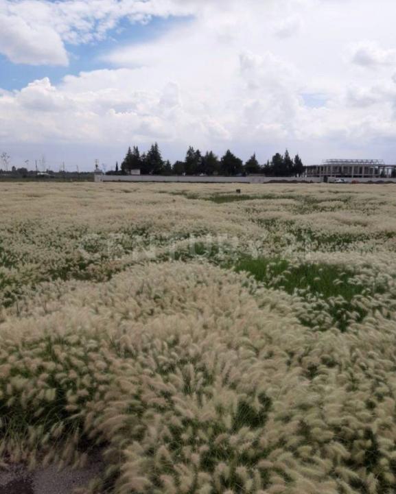 Tecámac, メヒコ州 55757, メキシコ