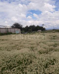 Tecámac, メヒコ州 55757, メキシコ