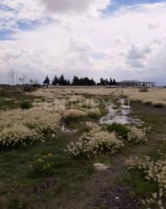 Tecámac, メヒコ州 55757, メキシコ