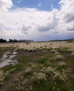 Tecámac, メヒコ州 55757, メキシコ