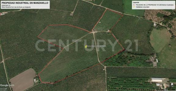 Manzanillo, Colima 28800, Mexico