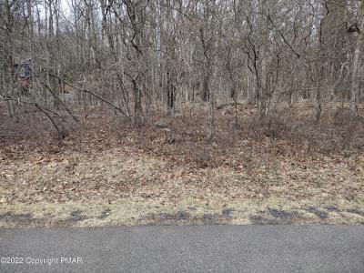 62 CRESTVIEW/BIRCH Drive, Blakeslee, Pennsylvania 18610, USA