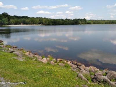 62 CRESTVIEW/BIRCH Drive, Blakeslee, 賓夕法尼亞州 18610, 美國