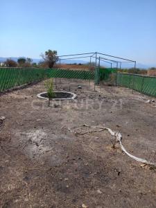 Jojutla, מורלוס 62910, מקסיקו