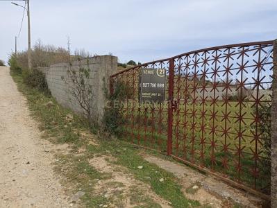 Fundão, Castelo Branco 6230-000, Portugal