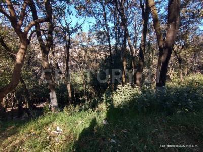 Tierra Prieta 1,, Huixquilucan, État De Mexico 52760, Mexique