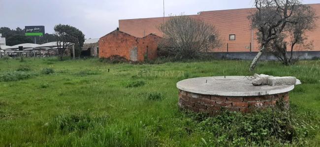 Marinha Grande, Leiria 2430, Portugal