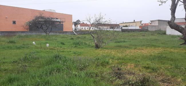 Marinha Grande, Лейрия 2430, Португалия