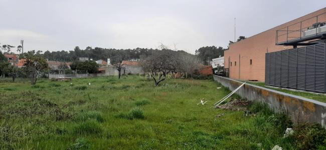 Marinha Grande, Лейрия 2430, Португалия