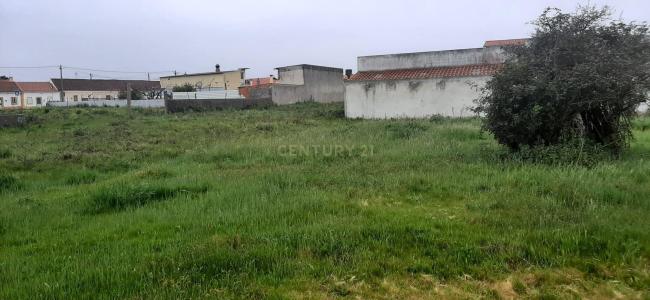 Marinha Grande, Лейрия 2430, Португалия