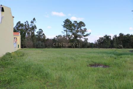 Oliveira Do Bairro, Aveiro 3770-221, Portugal