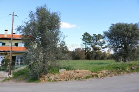 Oliveira Do Bairro, آويرو 3770-221, البرتغال