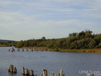 TBD 1 & 2 Bootjack, Lake Linden, 密西根州 49945, 美國