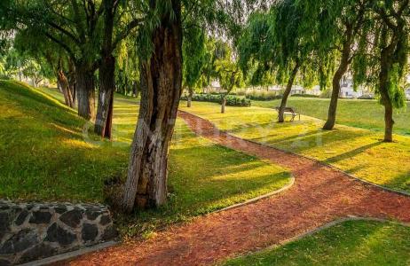 Paseo de las Yucas S/N,, Calimaya, Штат Мехико 52220, Мексика