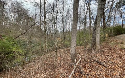 9.36a Hwy 515/Thomas Cir, Blairsville, Georgia 30512, Estados Unidos