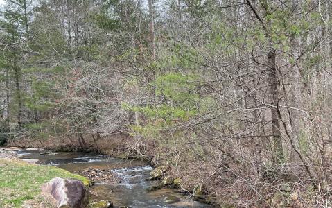 9.36a Hwy 515/Thomas Cir, Blairsville, Georgia 30512, Estados Unidos