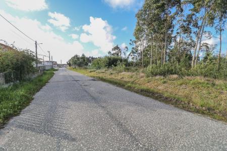 Pombal, Leiria 3090-485, Portugal