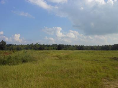 1703 Hwy 15 S, Sumter, 사우스 캐롤라이나 29150, 미국