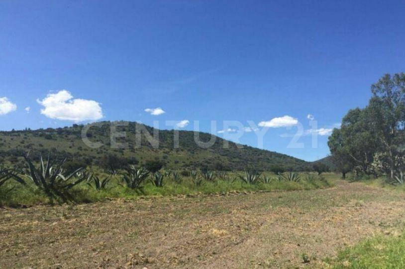 La Concepción Jolalpán, Texcoco, Edo. de México 0,, Tepetlaoxtoc, Stato Del Messico 56070, Messico