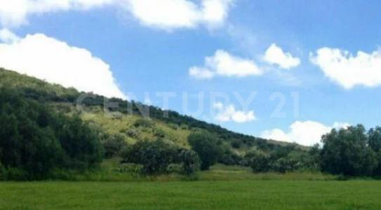 La Concepción Jolalpán, Texcoco, Edo. de México 0,, Tepetlaoxtoc, Stato Del Messico 56070, Messico