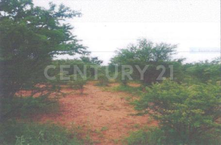 San Francisco Del Oro, Chihuahua 33500, Mexique