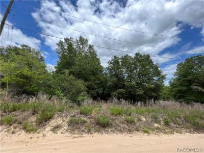 2610 Van Buren Street, Inverness, Florida 34453