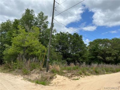 2610 Van Buren Street, Inverness, Florida 34453