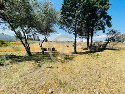 Teolocholco, Tlaxcala 90850, Mexique