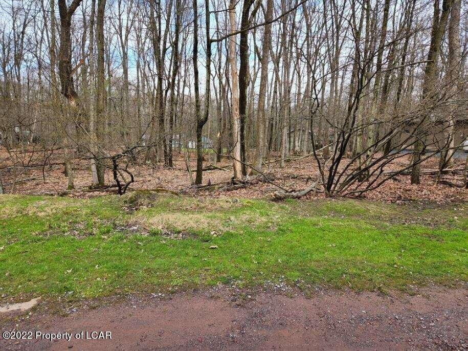 Lot 019 Spring Water Drive, White Haven, Pennsylvania 18661, Stati Uniti