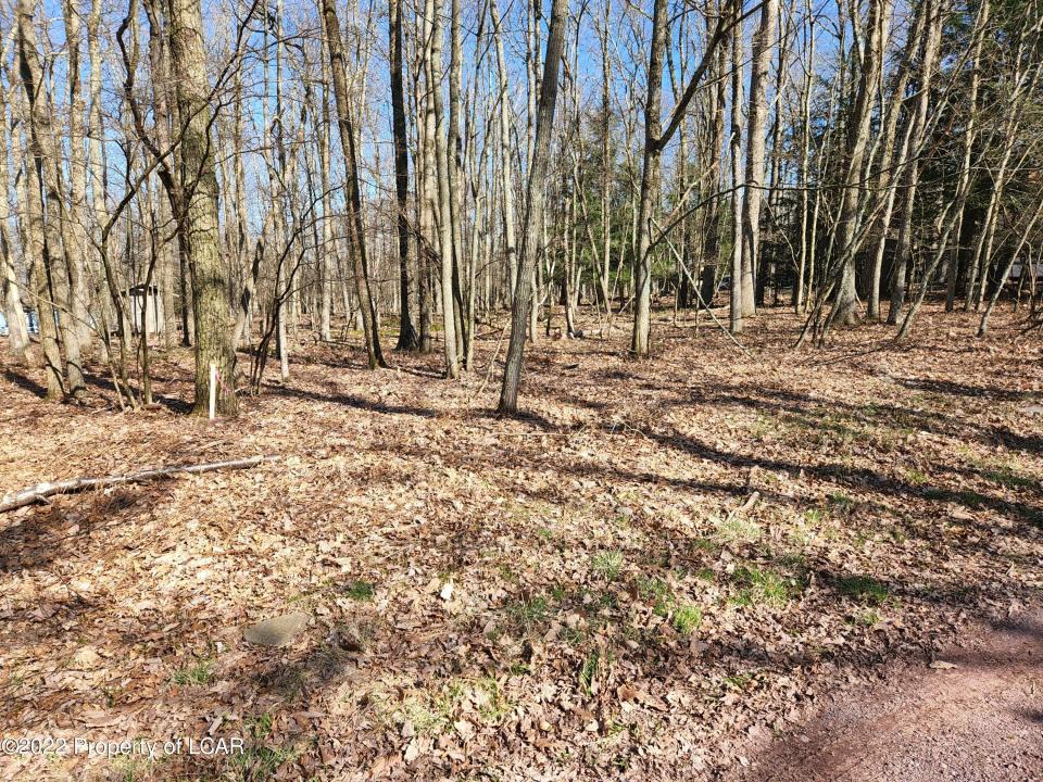 DD1 Whisper Drive, White Haven, Pensylwania 18661, USA
