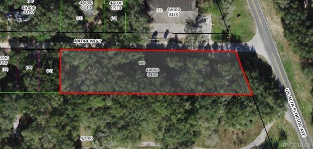 1301 Andrew Street, Inverness, Floride 34450, États-Unis