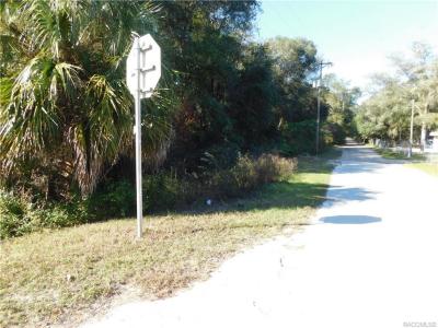 1301 Andrew Street, Inverness, Floride 34450, États-Unis