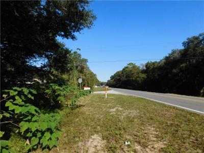 1301 Andrew Street, Inverness, Floride 34450, États-Unis