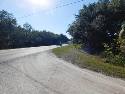 1301 Andrew Street, Inverness, Floride 34450, États-Unis