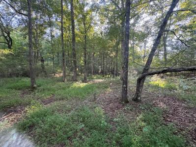 13875 Rankin Ave, Dunlap, טנסי 37327, ארצות הברית של אמריקה