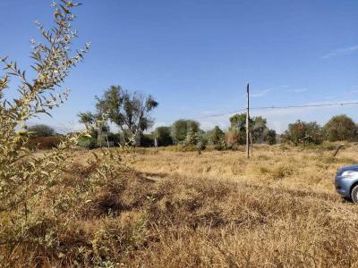 Patria 67,, El Salto, Jalisco 45690, Mexiko