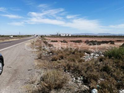 Ahome, 锡那罗亚 81320, 墨西哥