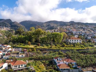 Funchal, Madeira 9050-009, Portugal
