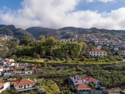 Funchal, Madeira 9050-009, Portugal
