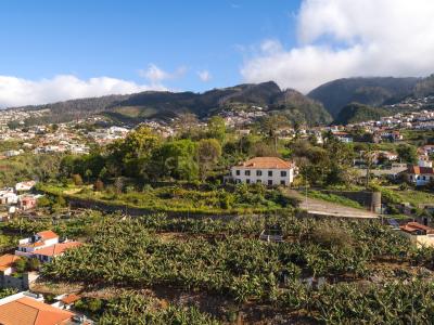 Funchal, Madeira 9050-009, Portugal