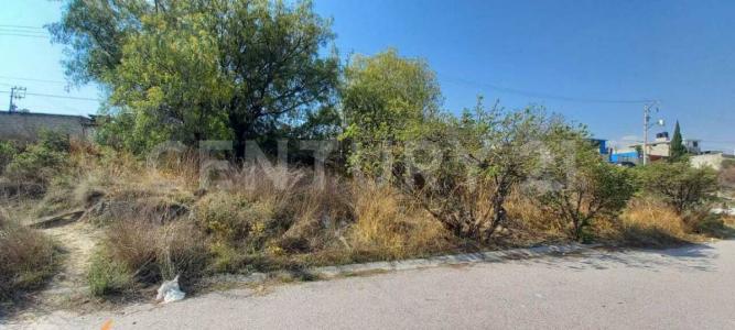 De las torres manzana 107 97,, Cuautitlán Izcalli, ولاية مكسيكو 54720, المكسيك